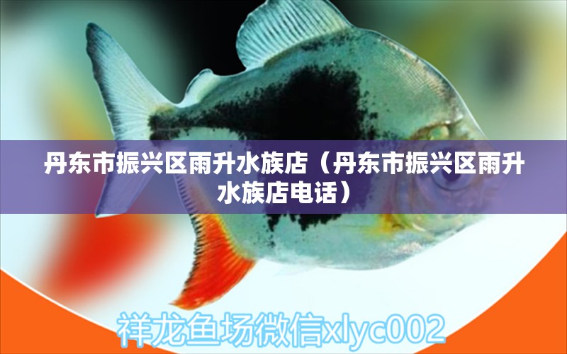 丹东市振兴区雨升水族店（丹东市振兴区雨升水族店电话） 全国水族馆企业名录