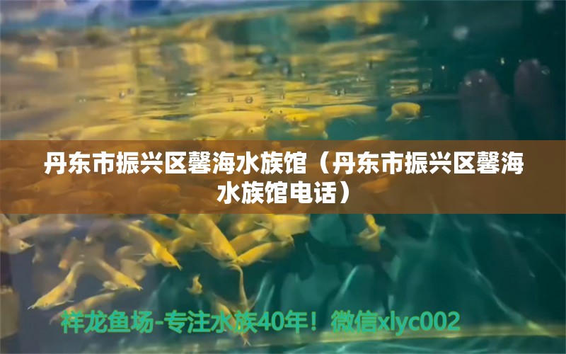 丹东市振兴区馨海水族馆（丹东市振兴区馨海水族馆电话）