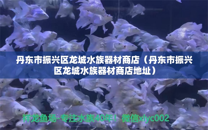 丹东市振兴区龙城水族器材商店（丹东市振兴区龙城水族器材商店地址）