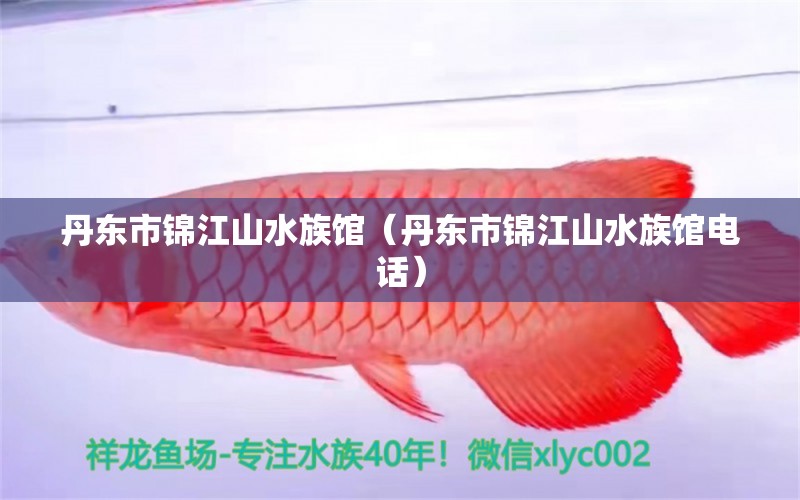 丹东市锦江山水族馆（丹东市锦江山水族馆电话）