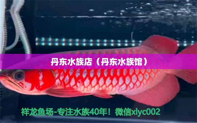 丹东水族店（丹东水族馆）