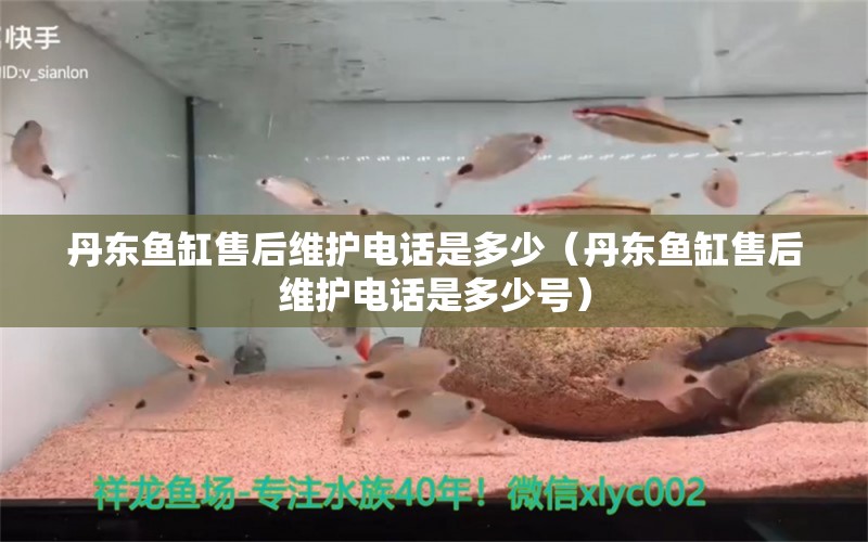 丹东鱼缸售后维护电话是多少（丹东鱼缸售后维护电话是多少号）