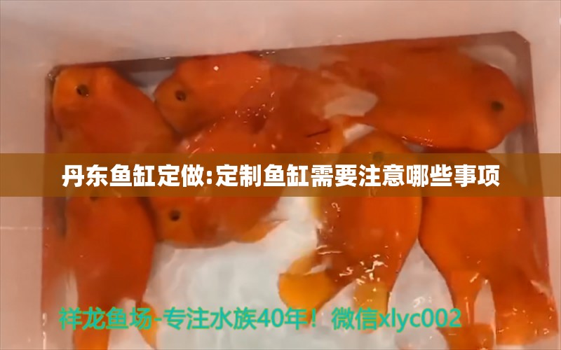 丹东鱼缸定做:定制鱼缸需要注意哪些事项