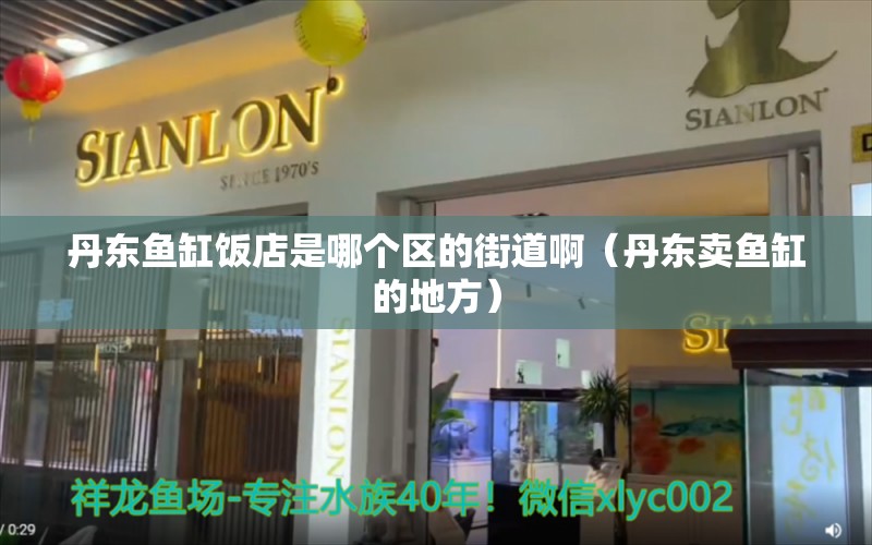 丹东鱼缸饭店是哪个区的街道啊（丹东卖鱼缸的地方）