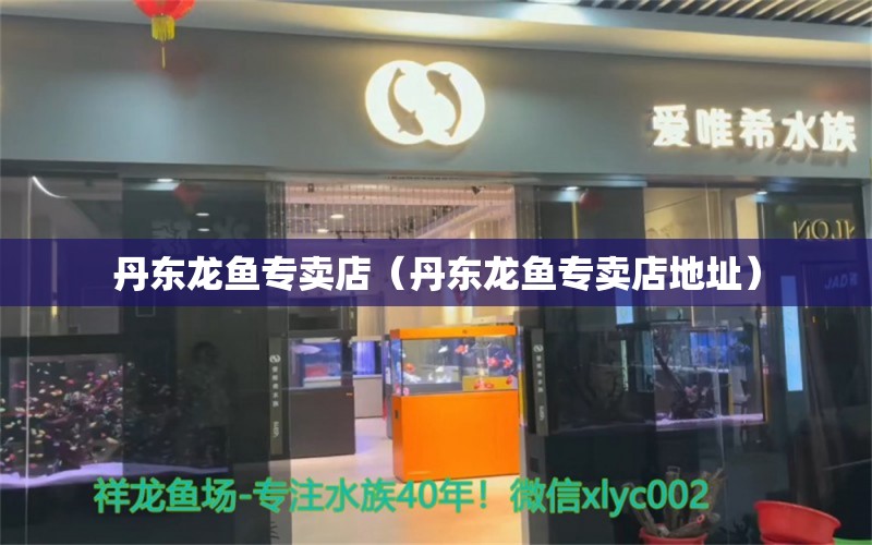 丹东龙鱼专卖店（丹东龙鱼专卖店地址）