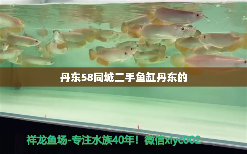 丹东58同城二手鱼缸丹东的 其他品牌鱼缸