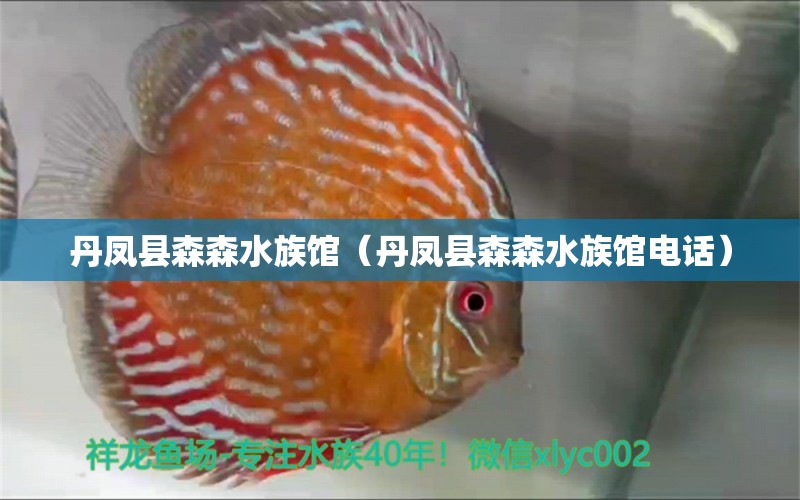 丹凤县森森水族馆（丹凤县森森水族馆电话）