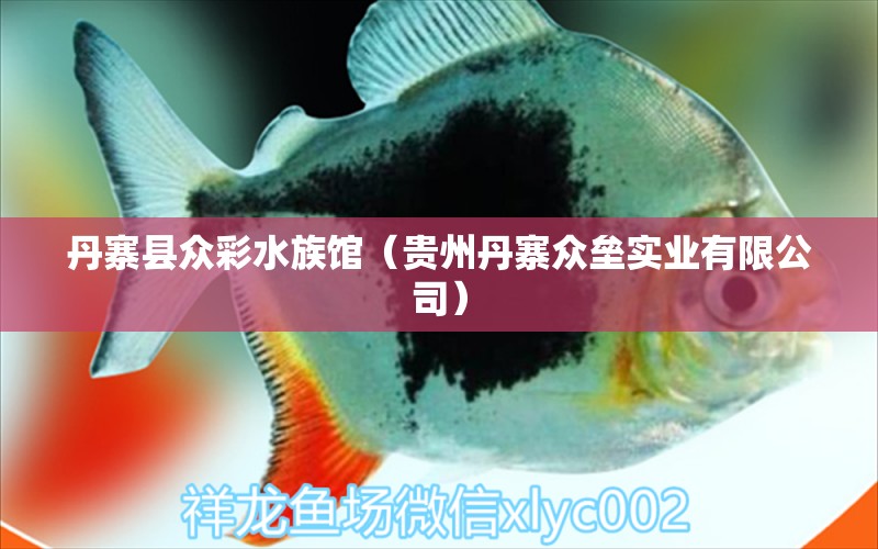 丹寨县众彩水族馆（贵州丹寨众垒实业有限公司） 全国水族馆企业名录