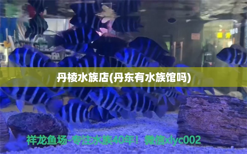 丹棱水族店(丹东有水族馆吗)