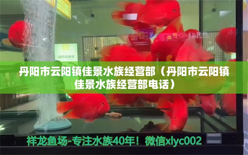 丹阳市云阳镇佳景水族经营部（丹阳市云阳镇佳景水族经营部电话） 全国水族馆企业名录