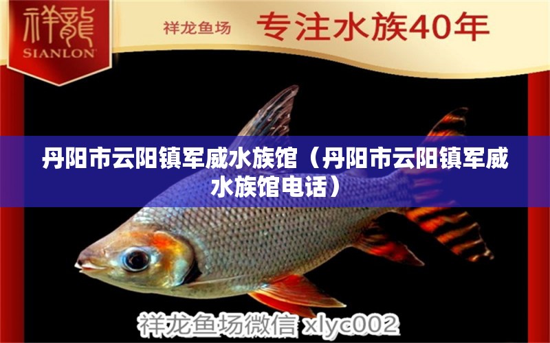 丹阳市云阳镇军威水族馆（丹阳市云阳镇军威水族馆电话）