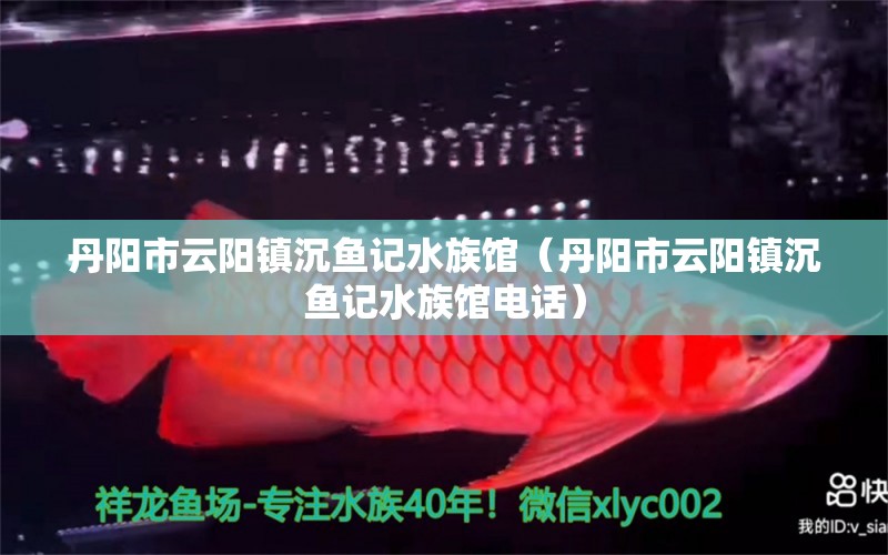 丹阳市云阳镇沉鱼记水族馆（丹阳市云阳镇沉鱼记水族馆电话）