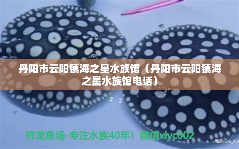 丹阳市云阳镇海之星水族馆（丹阳市云阳镇海之星水族馆电话） 全国水族馆企业名录