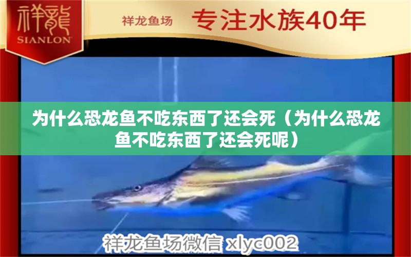 为什么恐龙鱼不吃东西了还会死（为什么恐龙鱼不吃东西了还会死呢）