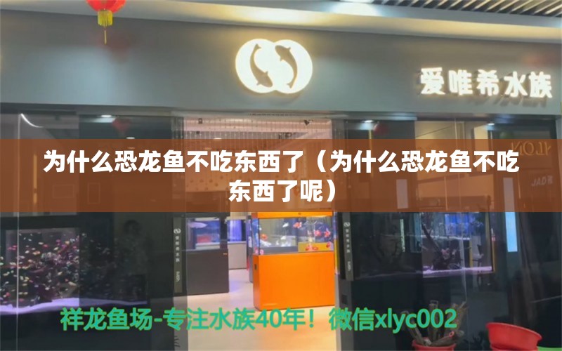 为什么恐龙鱼不吃东西了（为什么恐龙鱼不吃东西了呢） 祥龙水族医院