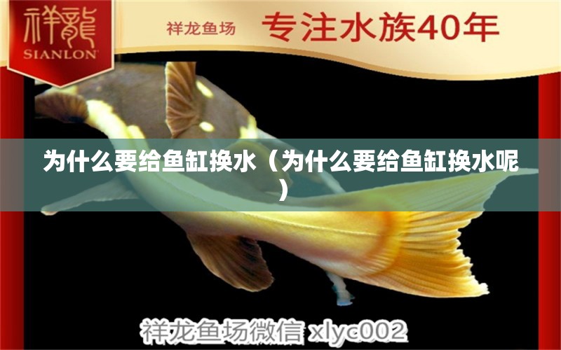 为什么要给鱼缸换水（为什么要给鱼缸换水呢） 祥龙水族医院