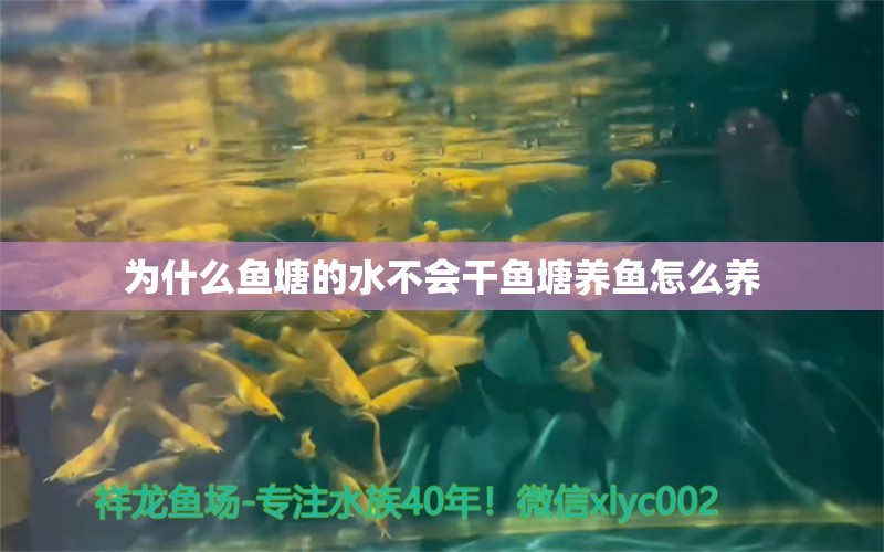 为什么鱼塘的水不会干鱼塘养鱼怎么养 定时器/自控系统 第2张