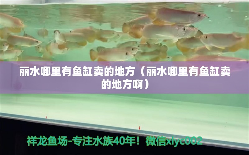 丽水哪里有鱼缸卖的地方（丽水哪里有鱼缸卖的地方啊）