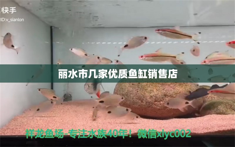 丽水市几家优质鱼缸销售店 其它水族用具设备