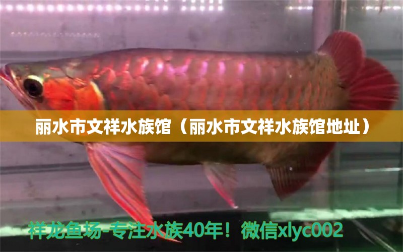 丽水市文祥水族馆（丽水市文祥水族馆地址） 全国水族馆企业名录