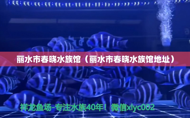 丽水市春晓水族馆（丽水市春晓水族馆地址）