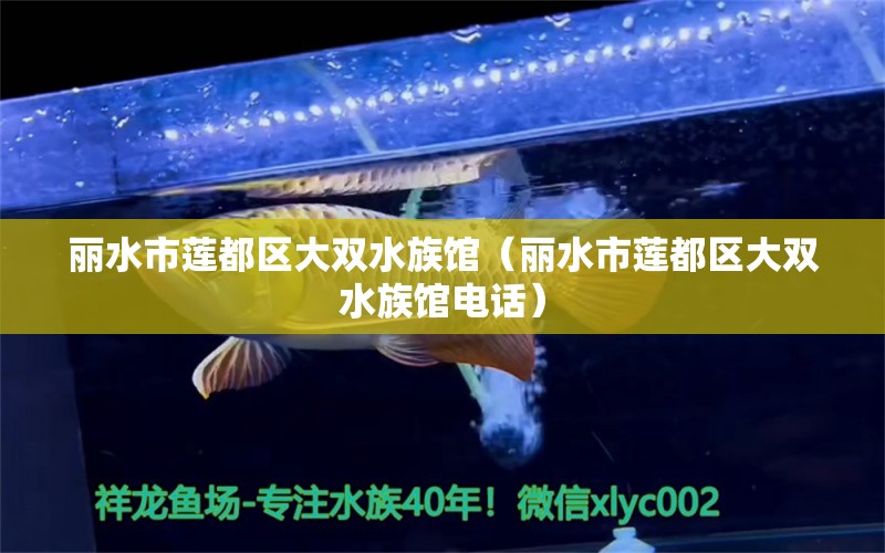 丽水市莲都区大双水族馆（丽水市莲都区大双水族馆电话）