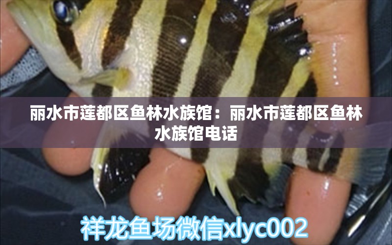 丽水市莲都区鱼林水族馆：丽水市莲都区鱼林水族馆电话