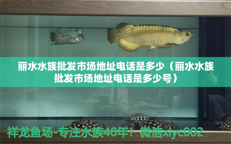 丽水水族批发市场地址电话是多少（丽水水族批发市场地址电话是多少号）