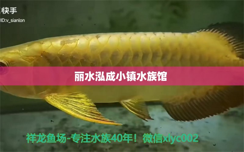 丽水泓成小镇水族馆 