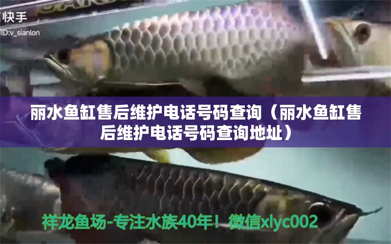 丽水鱼缸售后维护电话号码查询（丽水鱼缸售后维护电话号码查询地址）