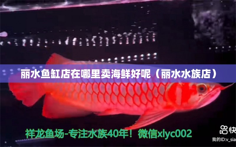 丽水鱼缸店在哪里卖海鲜好呢（丽水水族店） 广州观赏鱼批发市场