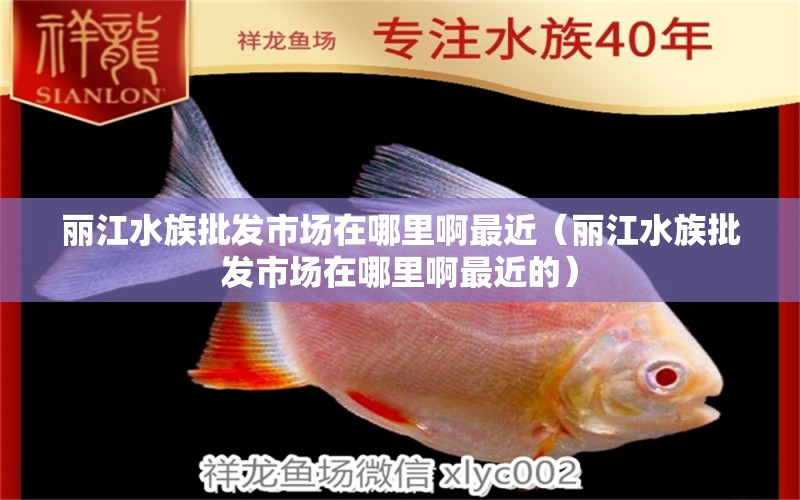 丽江水族批发市场在哪里啊最近（丽江水族批发市场在哪里啊最近的）