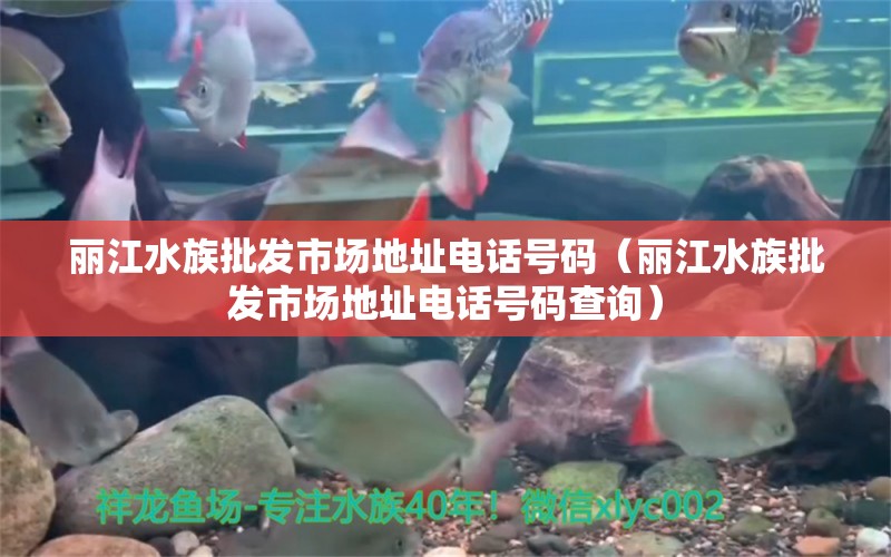 丽江水族批发市场地址电话号码（丽江水族批发市场地址电话号码查询）