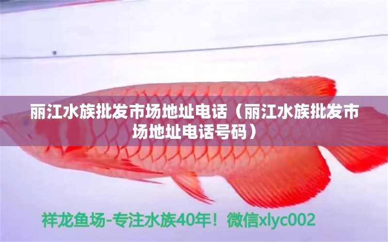 丽江水族批发市场地址电话（丽江水族批发市场地址电话号码）