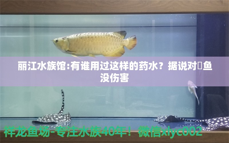 丽江水族馆:有谁用过这样的药水？据说对魟鱼没伤害 和尚鱼