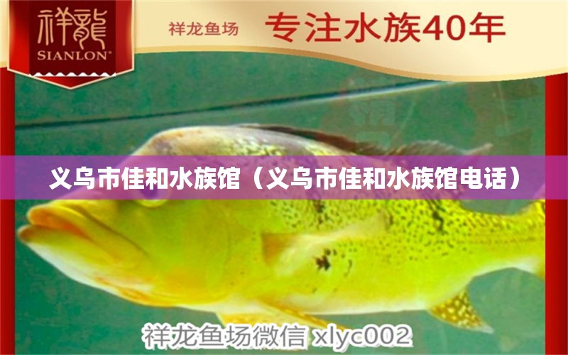 义乌市佳和水族馆（义乌市佳和水族馆电话）