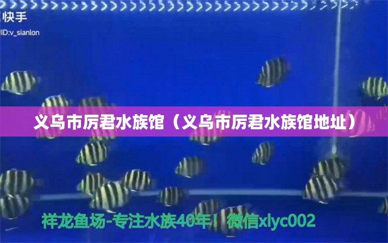 义乌市厉君水族馆（义乌市厉君水族馆地址）