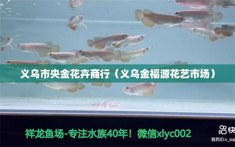 义乌市央金花卉商行（义乌金福源花艺市场） 全国水族馆企业名录