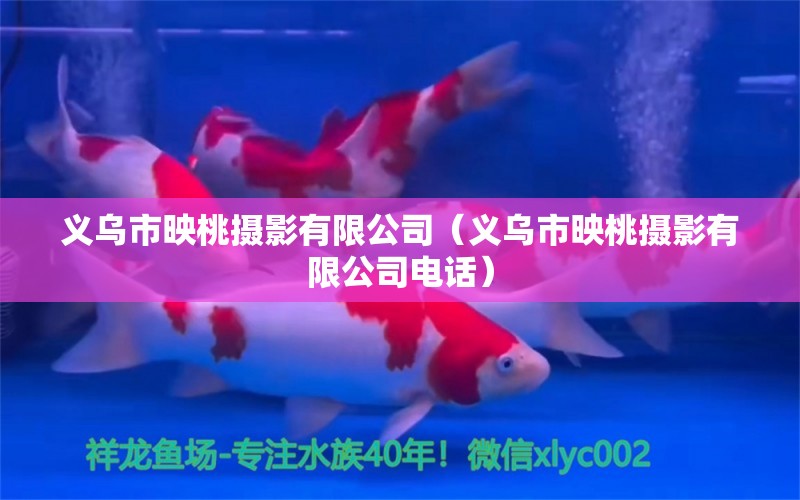 义乌市映桃摄影有限公司（义乌市映桃摄影有限公司电话） 全国水族馆企业名录