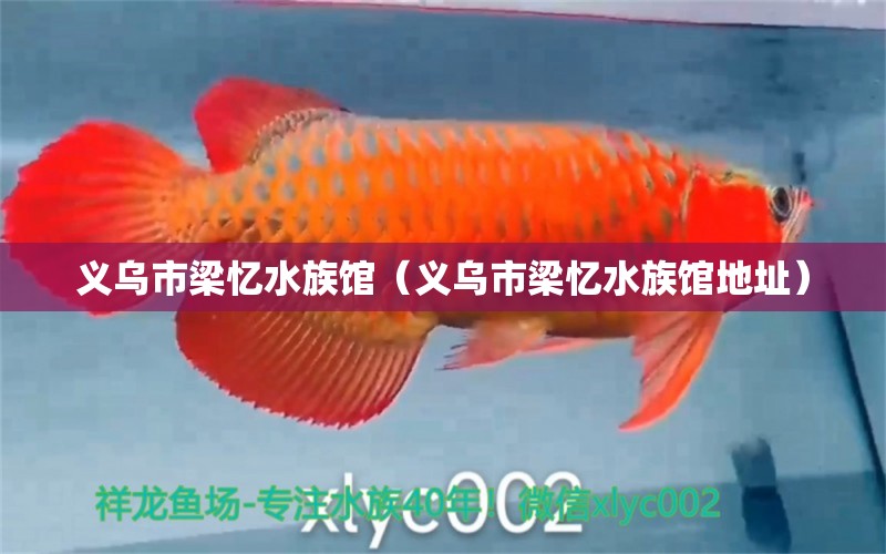 义乌市梁忆水族馆（义乌市梁忆水族馆地址） 全国水族馆企业名录