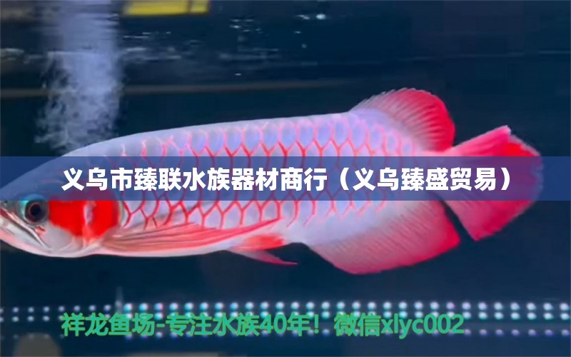 义乌市臻联水族器材商行（义乌臻盛贸易）