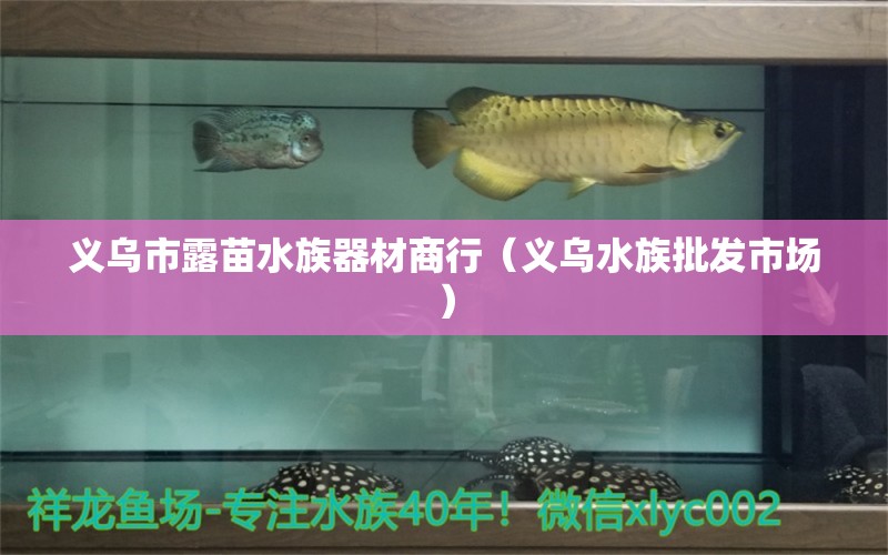 义乌市露苗水族器材商行（义乌水族批发市场） 观赏鱼水族批发市场