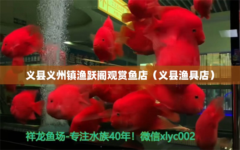 义县义州镇渔跃阁观赏鱼店（义县渔具店） 全国水族馆企业名录