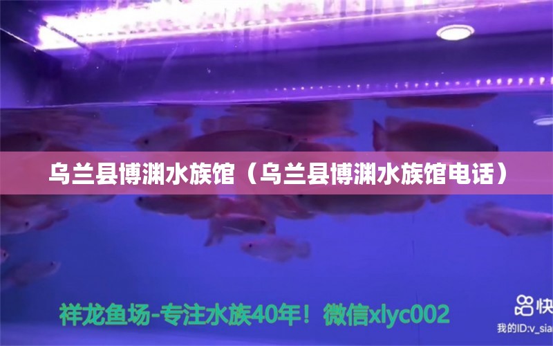 乌兰县博渊水族馆（乌兰县博渊水族馆电话） 全国水族馆企业名录