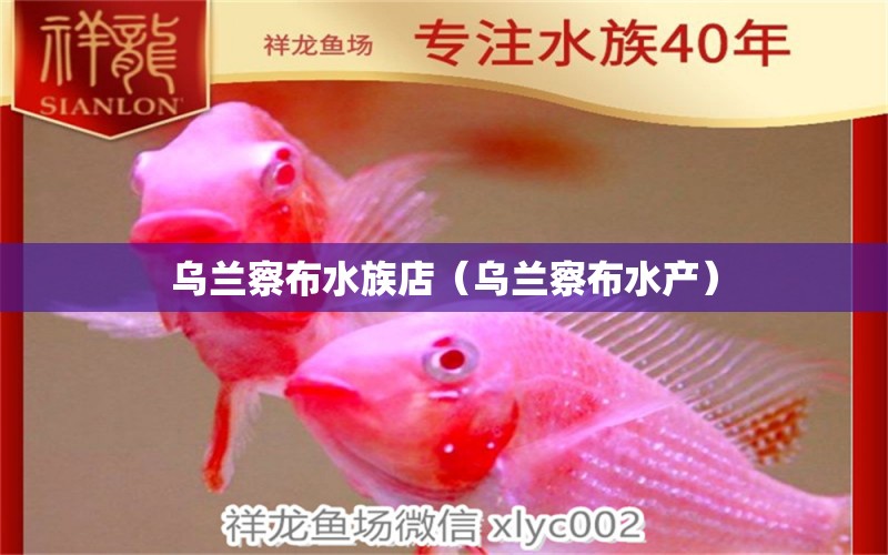 乌兰察布水族店（乌兰察布水产） 观赏鱼市场