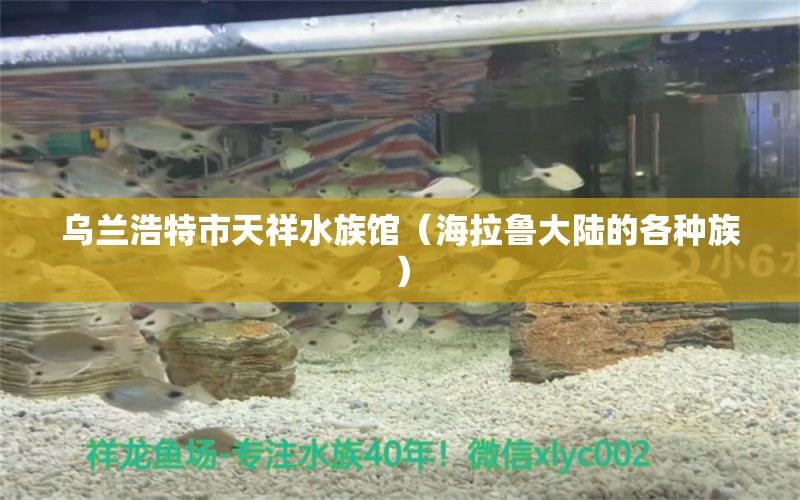 乌兰浩特市天祥水族馆（海拉鲁大陆的各种族） 全国水族馆企业名录