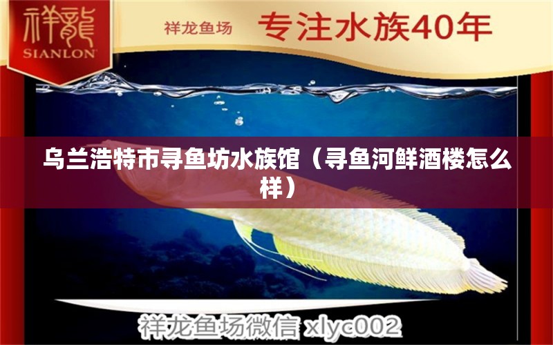 乌兰浩特市寻鱼坊水族馆（寻鱼河鲜酒楼怎么样） 全国水族馆企业名录