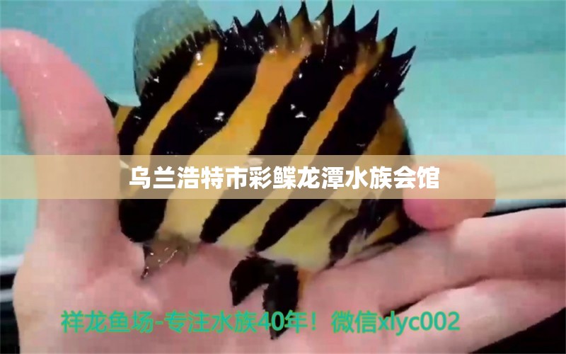 乌兰浩特市彩鲽龙潭水族会馆 全国水族馆企业名录