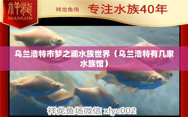 乌兰浩特市梦之澜水族世界（乌兰浩特有几家水族馆） 全国水族馆企业名录