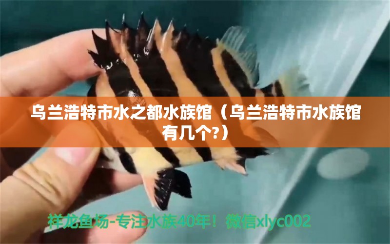 乌兰浩特市水之都水族馆（乌兰浩特市水族馆有几个?） 全国水族馆企业名录